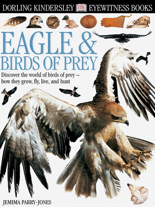 Title details for Eagle and Birds of Prey by Jemima Parry-Jones - Wait list